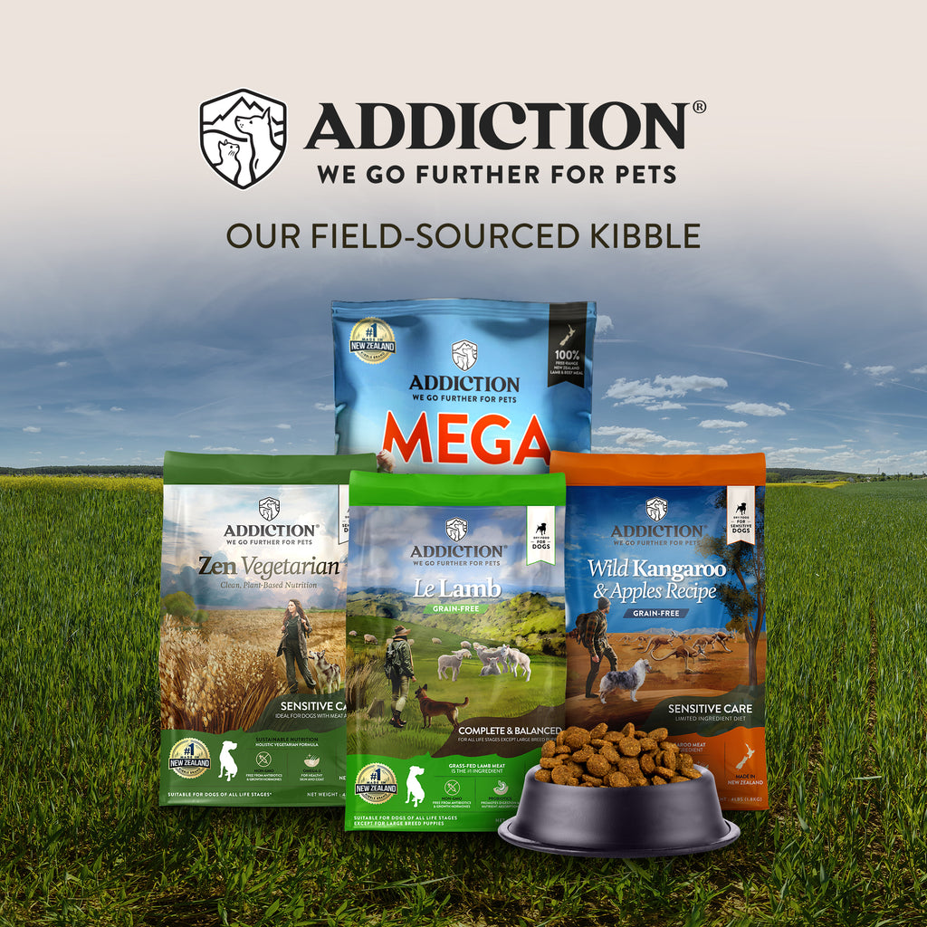 Addiction Pet Food the Great Grain-Free Alternative - Grain Free Pet Food For Dogs Epilepsy
