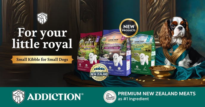A New Crown for Your Little Royal: Introducing the Small Dog Breed Formula