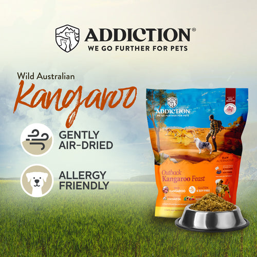Addiction Raw Alternative Outback Kangaroo Feast Dog Food - 0.9kg