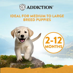 Addiction MEGA Chicken - Large Breed Puppy Food