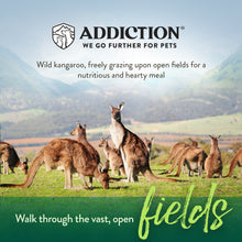 Addiction Raw Alternative Outback Kangaroo Feast Dog Food - 0.9kg