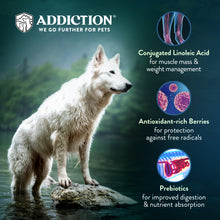 Addiction Raw Alternative Dog Food - Homestyle Venison & Cranberry Dinner 0.9kg