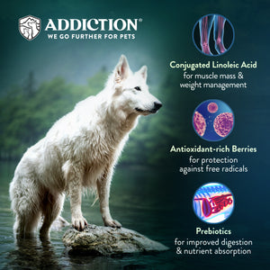 Addiction Raw Alternative Dog Food - Homestyle Venison & Cranberry Dinner 0.9kg