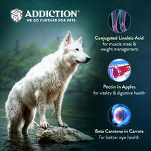 Addiction Raw Alternative Outback Kangaroo Feast Dog Food - 0.9kg