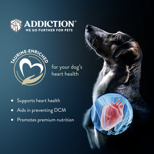Addiction Raw Alternative Outback Kangaroo Feast Dog Food - 0.9kg
