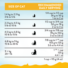 Addiction Chicken Supreme Recipe Senior Cat Food