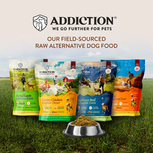 Addiction Raw Alternative Outback Kangaroo Feast Dog Food - 0.9kg